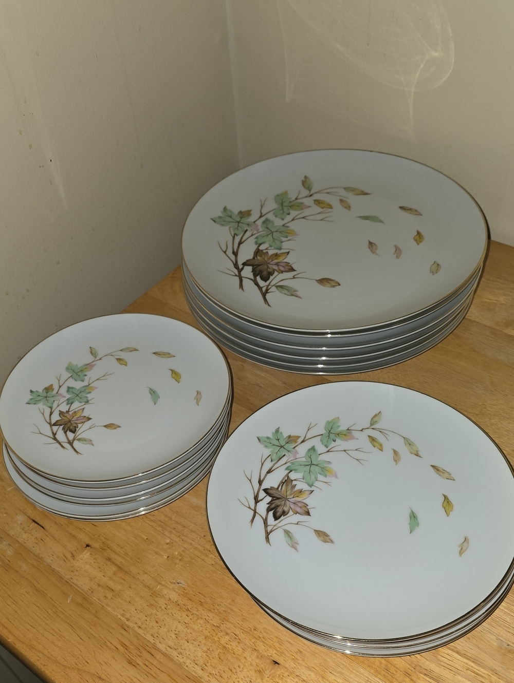 Porcelain Dinner Plate Set By Halsy Fine China